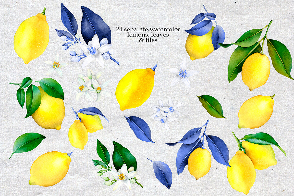 Watercolor Lemon Tiles 69 Assets, a Decorative Illustration by SunnJaneArt (Photo 2 of 14)