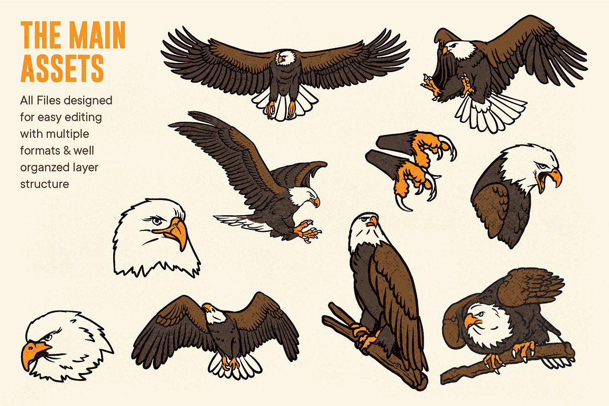 Vintage Eagle Illustrations, an Animal Illustration by ARQAM Studio (Photo 2 of 9)