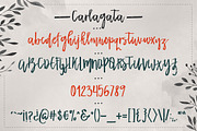 Carlagata, a Script Font by BlueRobinDesignShop (Thumbnail 6 of 8)