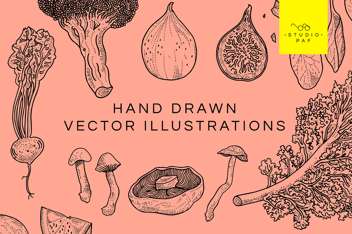 Fruit & Veg - Hand Drawn Vectors, a Food Illustration by STUDIO PAF (Photo 8 of 8)