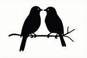 Bird Silhouette design bundle, an Illustration by Designs_River (Thumbnail 13 of 13)