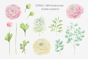 Watercolor Ranunculus.