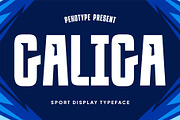 Galiga - Sans Serif Sport Typeface, a Sans Serif Font by Pekotype (Thumbnail 1 of 11)