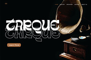 Gayo Wine | Fancy Display, a Serif Font by Pentagonistudio (Thumbnail 3 of 13)