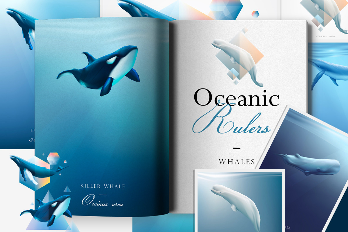 Oceanic Rulers: Whales, an Animal Illustration by Polar Vectors