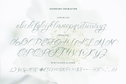 Saint Flow - Beauty handwritten, a Script Font by Brightone (Thumbnail 3 of 9)