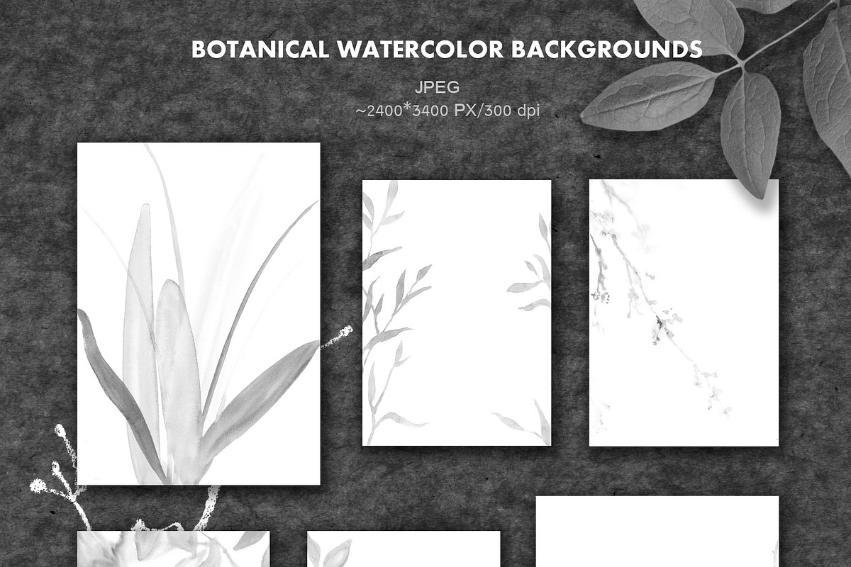 IKEBANA. Botanical Winter Kit., an Illustration by Pink Ocean (Photo 14 of 16)