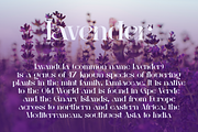 Lavender font luxuri, a Serif Font by DreamColor (Thumbnail 4 of 5)