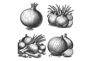 onion engraving set vector, a Food Illustration by AlexArt