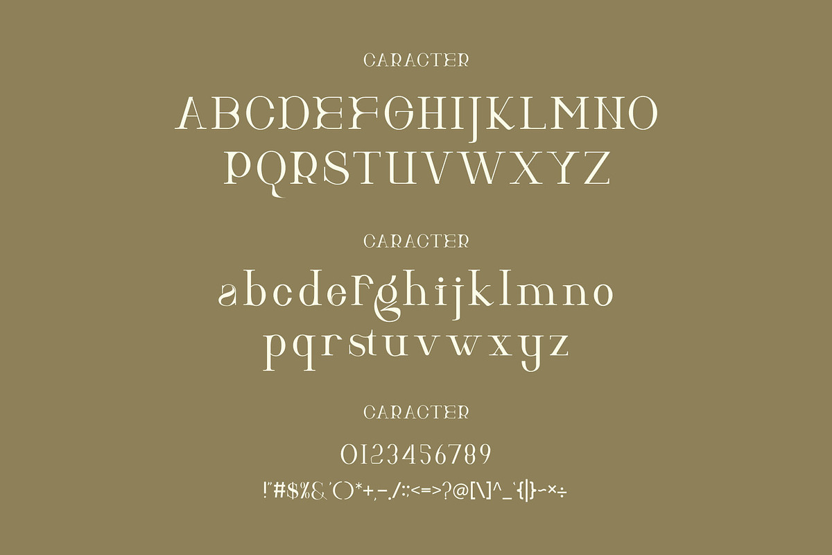 Hitocie Ligature Serif Typeface, a Serif Font by Humaira_std (Photo 9 of 12)