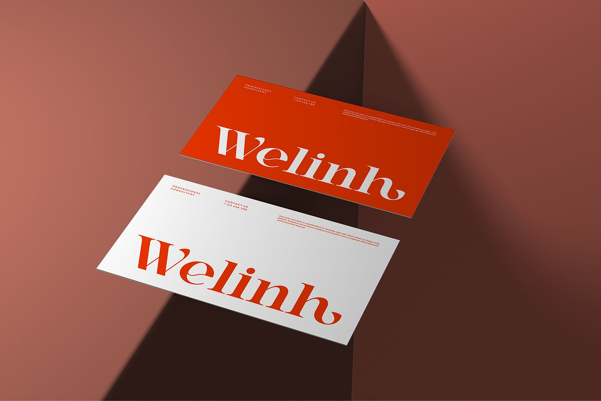 Bedisa || Modern Classy Serif Font, a Serif Font by Ermedia Studio (Photo 3 of 10)