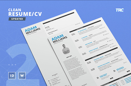Clean Resume/Cv Template Volume 2