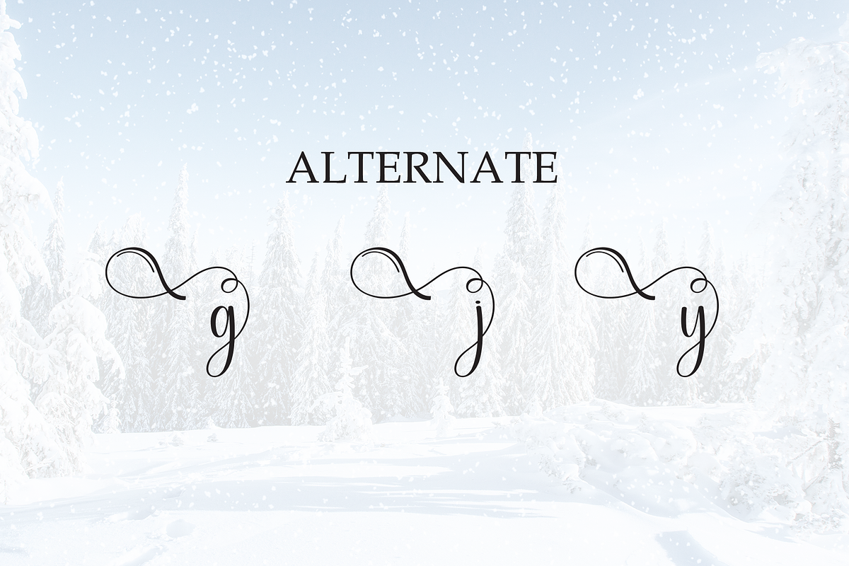 Snowy | Script Font, a Handwritten Font by Scratchones (Photo 8 of 9)
