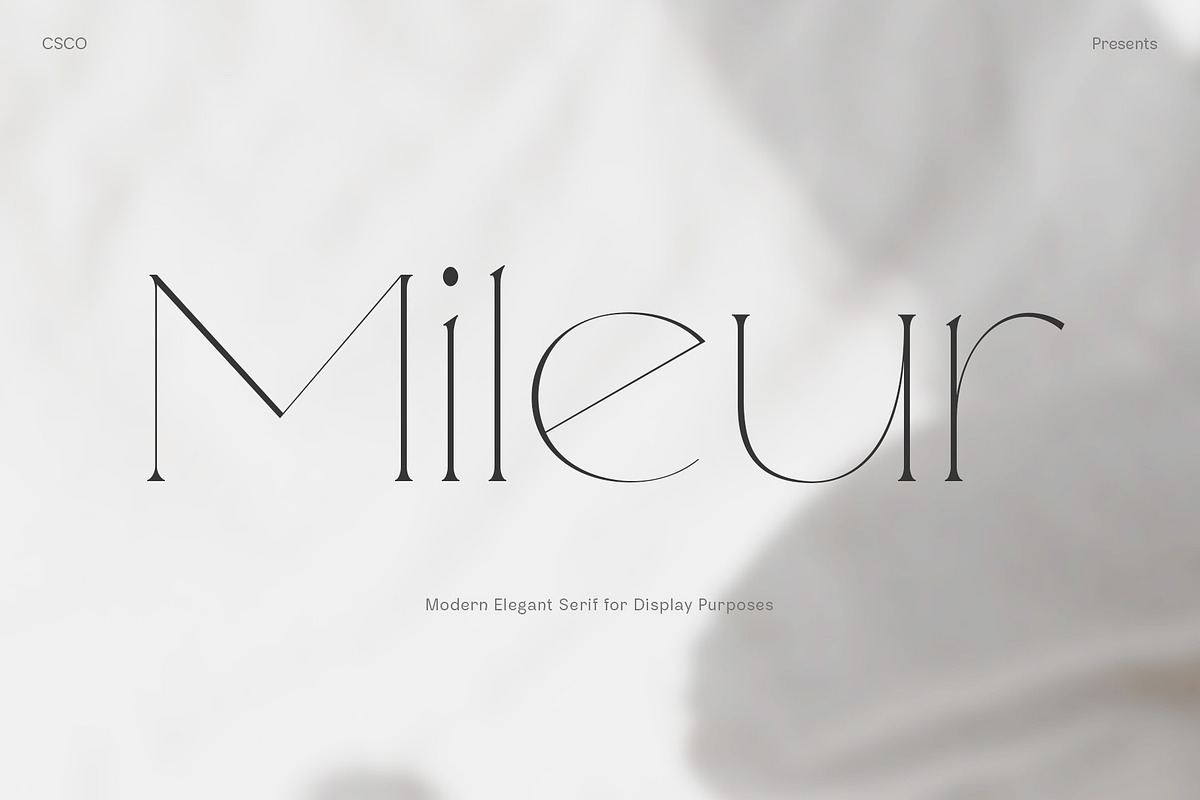 Mileur - Modern Elegant Serif, a Serif Font by Craft Supply Co. (Photo 1 of 8)