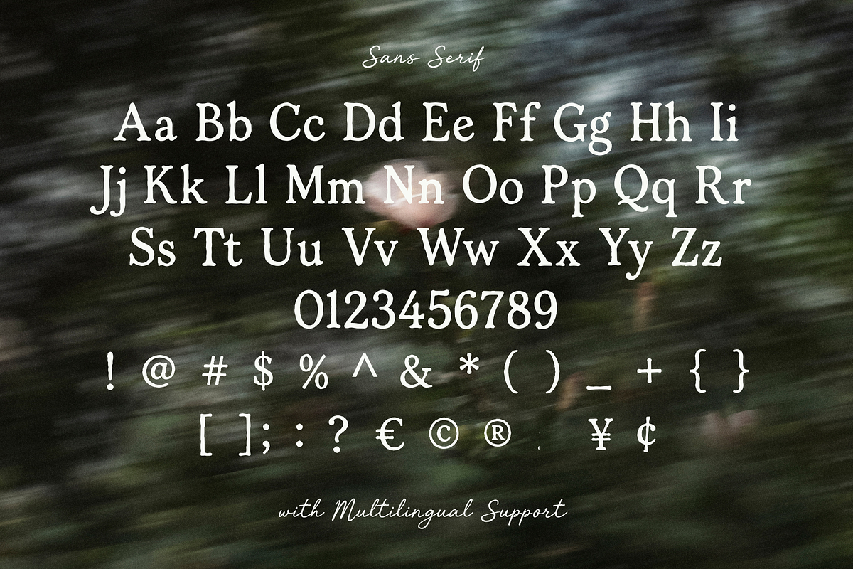 Tjiwidej Heritage – Serif & Script, a Script Font by Creacy Studio (Photo 9 of 9)