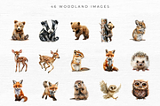 Woodland Animal Clipart, an Animal Illustration by EllyandLima (Thumbnail 4 of 7)