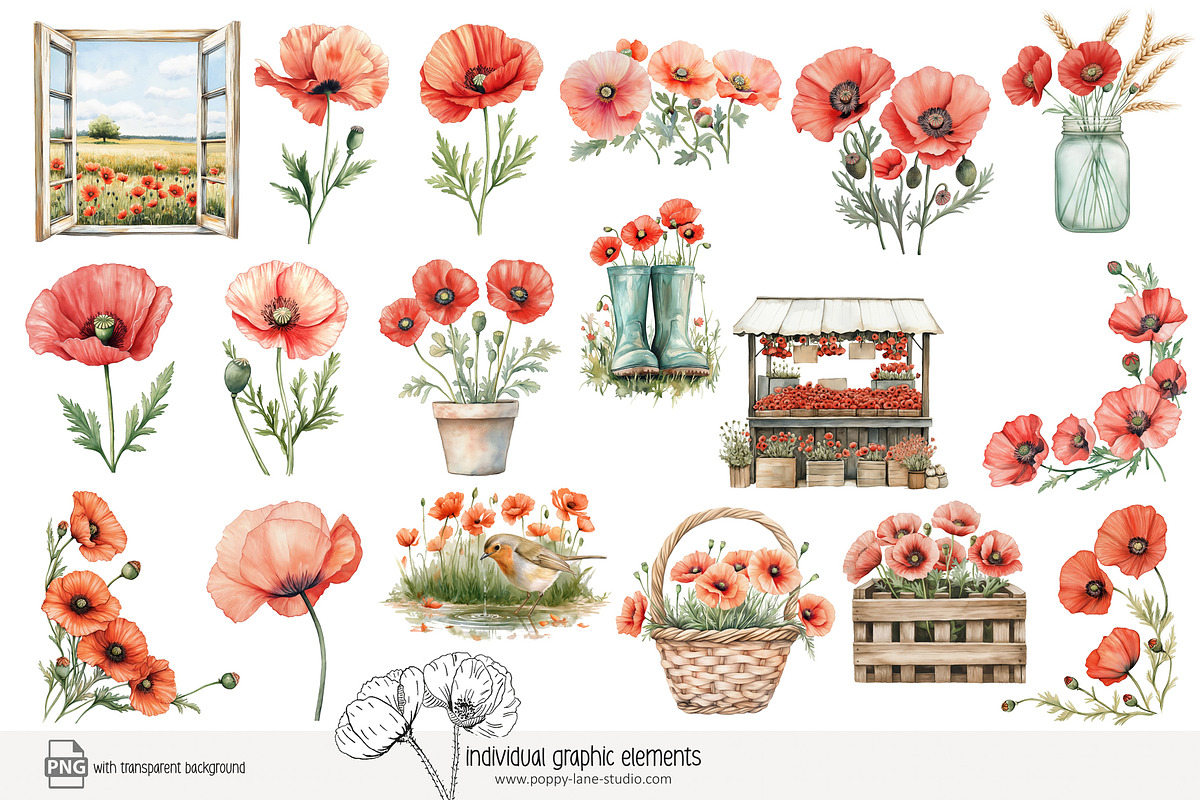 100 watercolour poppy clip art, a Seasonal Illustration by Poppy Lane Studio (Photo 3 of 12)