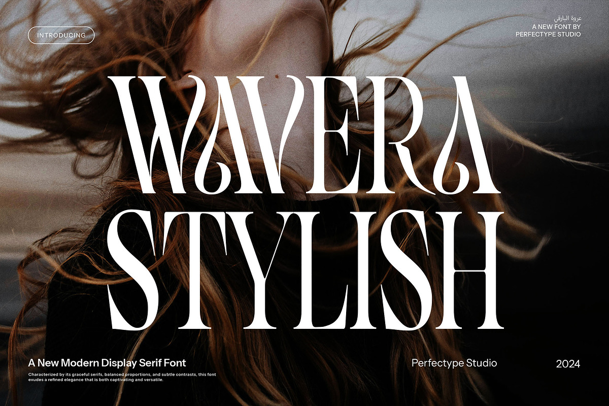 Wavera Stylish Serif Font, a Serif Font by Perfectype (Photo 1 of 8)