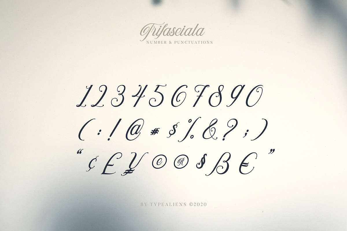 Trifasciata, a Script Font by ilhamtaro (Photo 9 of 11)
