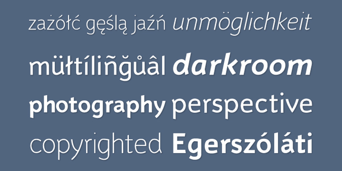 Murena, a Sans Serif Font by Michal Adamiec (Photo 3 of 4)