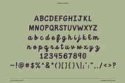 Outdoor Script | National Park Font, a Script Font by Vicarel Studios (Thumbnail 13 of 27)