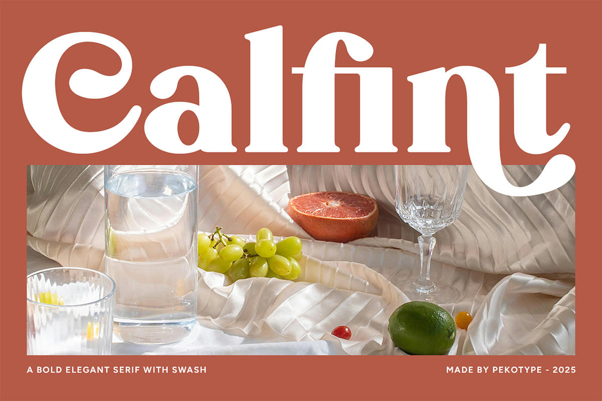 Calfint - Bold Serif Font, a Serif Font by Pekotype (Photo 11 of 13)