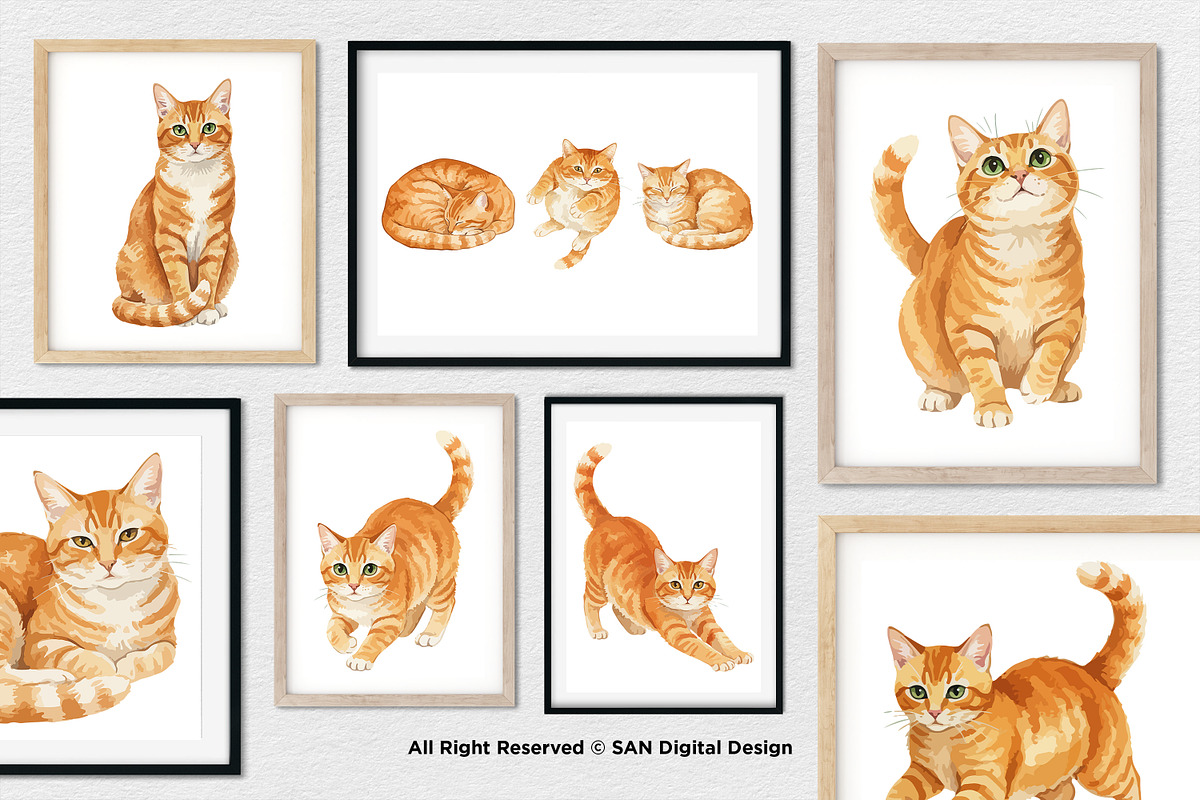 15 Bundle Watercolor Orange Cats Pet, an Animal Illustration by Morspective (Photo 4 of 8)