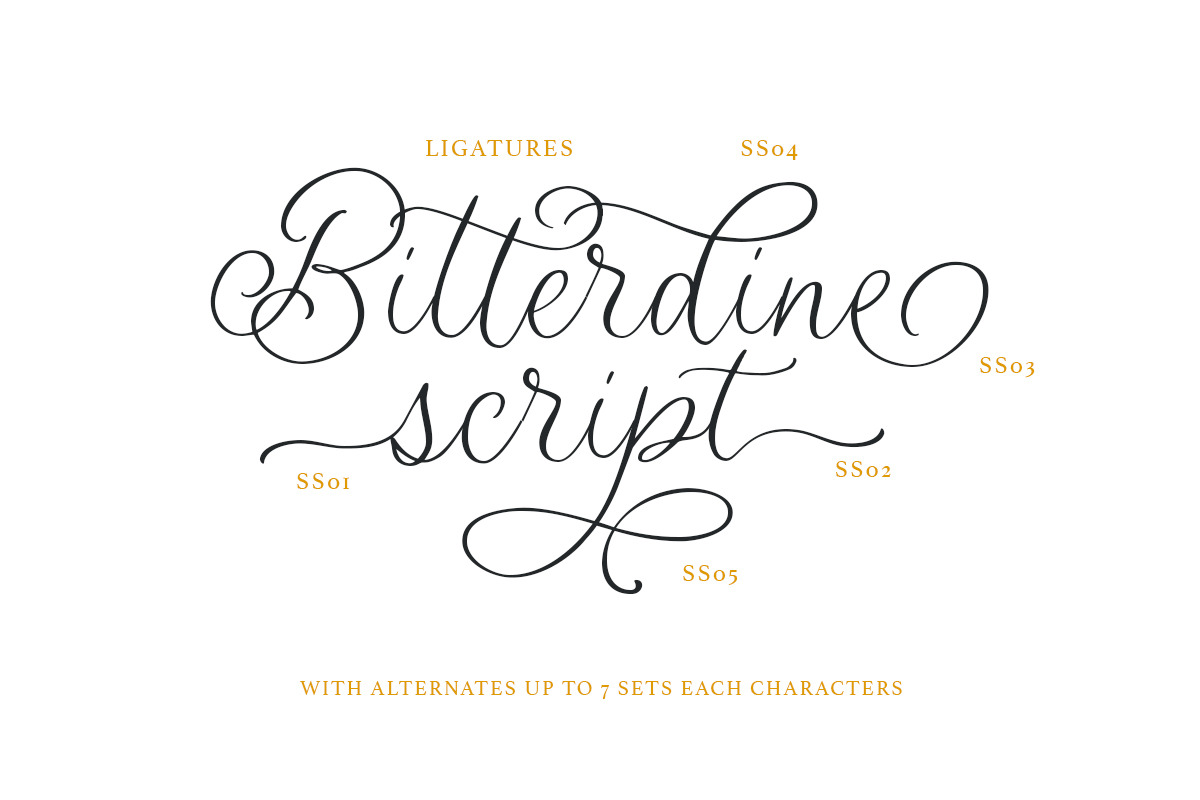 Bitterdine - Natural Calligraphy, a Script Font by Sarid Ezra (Photo 4 of 9)