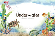 Underwater ocean watercolor clipart, an Animal Illustration by Yuliya Derbisheva (Thumbnail 1 of 10)