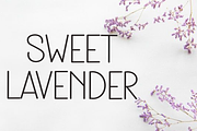 Nothing Sweet, a Sans Serif Font by FreshTypeINK (Thumbnail 7 of 8)