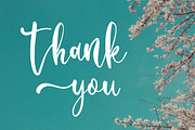 Millea Dilane Script Font, a Script Font by NTC Graphic (Thumbnail 7 of 7)