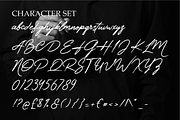 Handflair Signature Font, a Handwritten Font by PutraCetol Studio (Thumbnail 5 of 5)