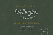 Kanto Script | A Monoline Typeface, a Script Font by Nicolas Fredrickson (Thumbnail 6 of 10)