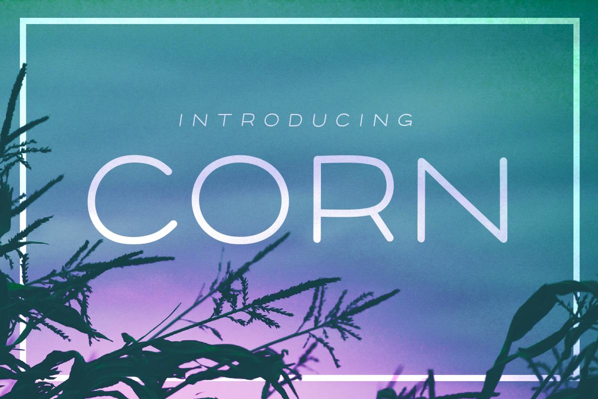 Corn - A clean font with style
