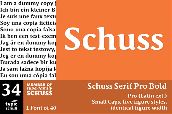 SchussSerifProBold No.34 (1 Font) preview 6