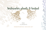 Watercolor plants & herbal elements., a Decorative Illustration by Re_Margarita_Art (Thumbnail 1 of 12)