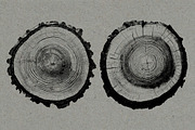26 Large Tree Ring Textures, a Texture Graphic by Offset (Thumbnail 8 of 16)