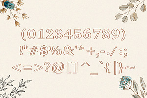 Viktoria - Outline Serif Typeface