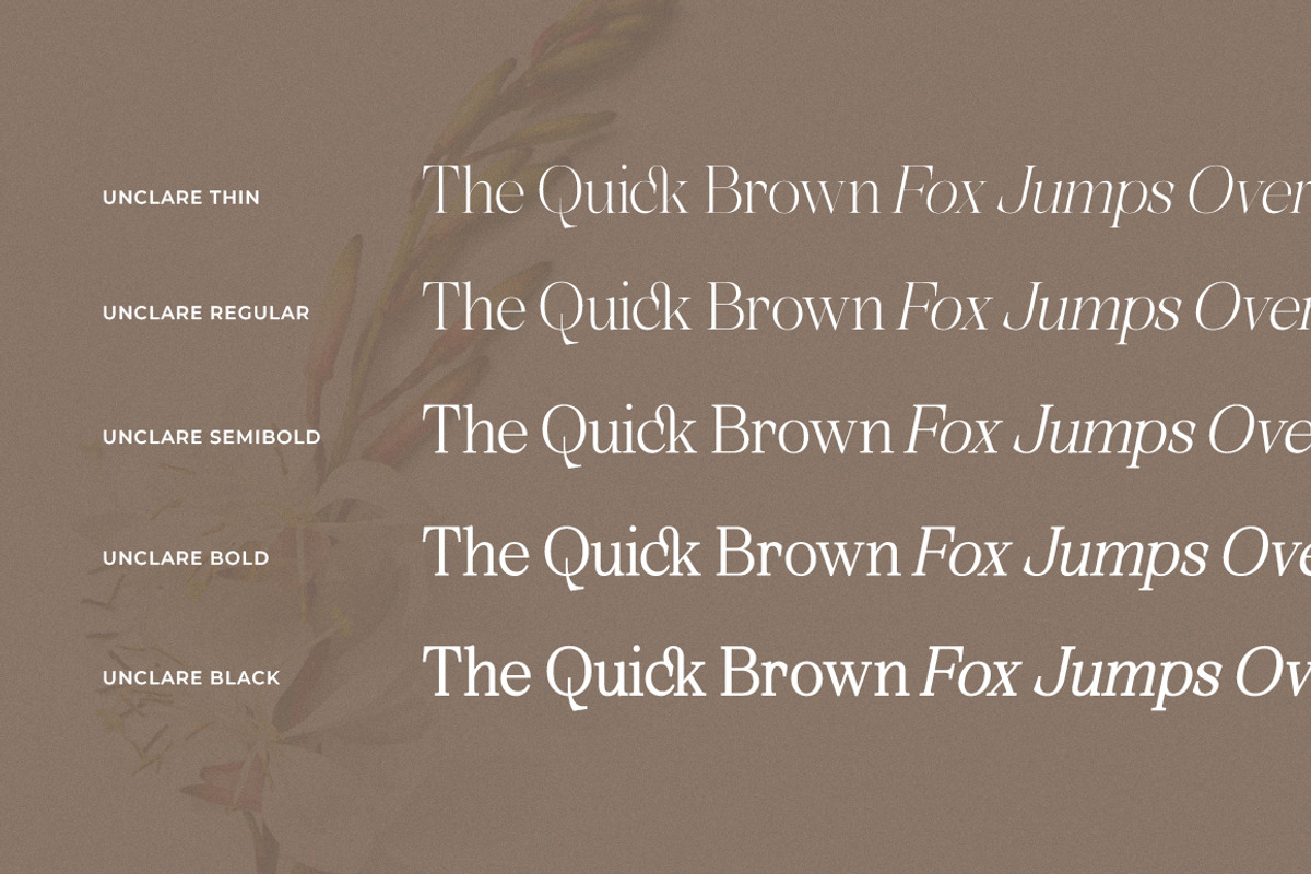 Unclare Serif Font Family (10 Fonts), a Serif Font by Heinzel Std (Photo 5 of 19)