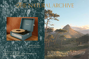 Paper Wood Texture Overlays White, a Texture Graphic by Yuliya Derbisheva (Thumbnail 3 of 11)