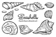 Seashells design elements set lite, an Illustration by Graphic Magic (Thumbnail 1 of 2)