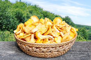 Basket full of fresh mushrooms, a Food & Drink Photo by BOOCYS