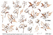 Cotton Watercolor Clipart, an Object Illustration by CaraulanStore (Thumbnail 6 of 17)