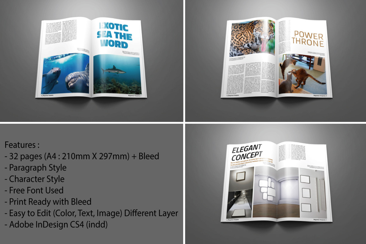 A4 MAGAZINES, a Magazine Template by marone (Photo 5 of 5)
