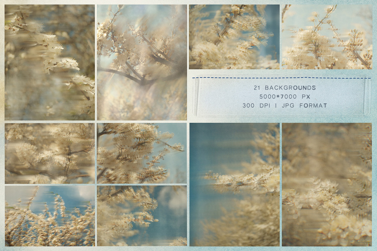 Plum Blossom Floral Backgrounds, a Background Graphic by lerinartstudio (Photo 9 of 11)
