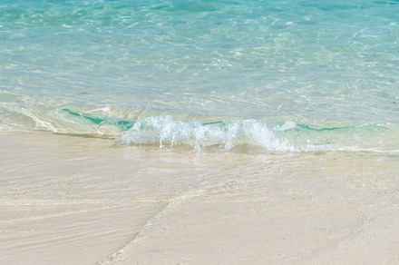 Crystal clear ocean wave at beach
