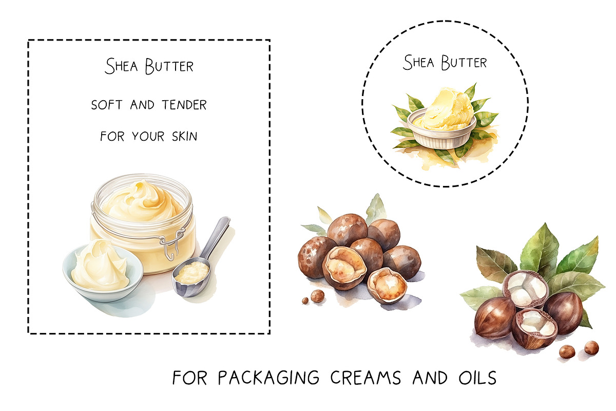 Watercolor Shea nuts plant, berry, an Object Graphic by KomtsyanTatyanaArt (Photo 2 of 3)