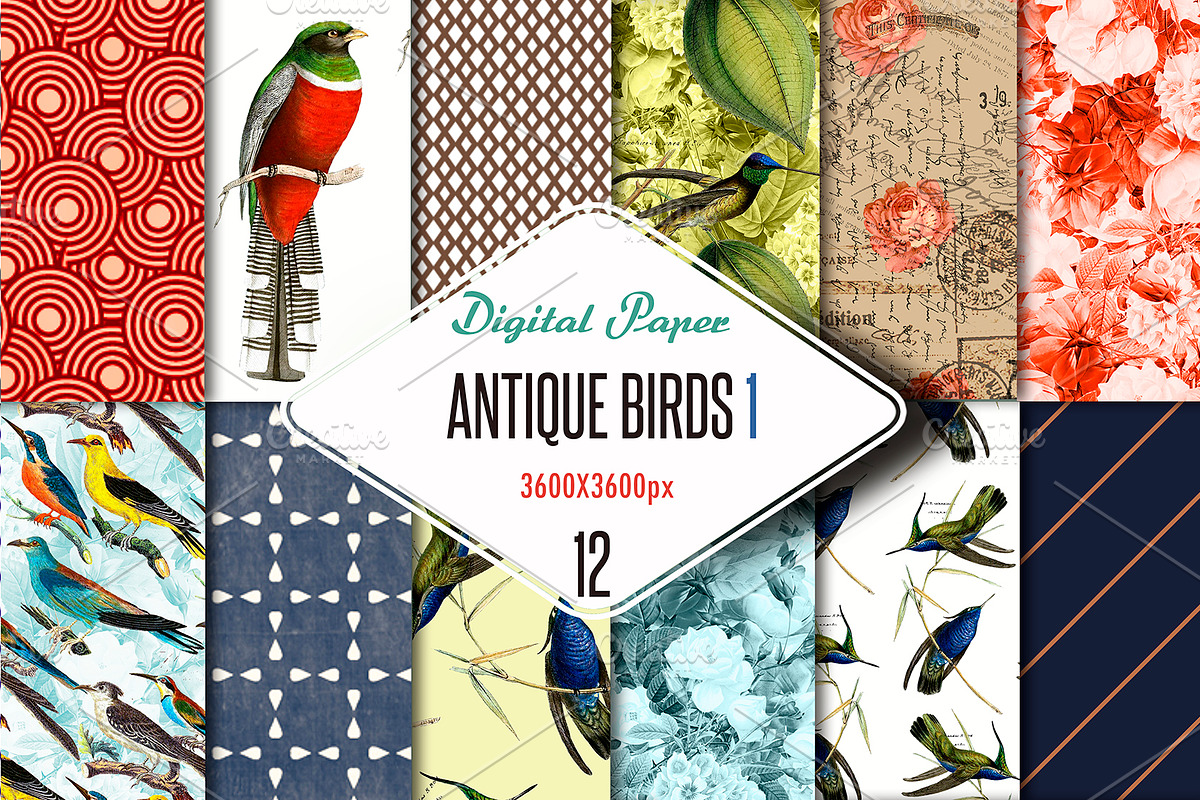 Digital paper antique birds 1, a Pattern Graphic by JAY MID IMAGE (Photo 3 of 5)