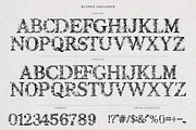 Petal Serif – Floral Wedding Font, a Serif Font by AndrewPixelType (Thumbnail 7 of 7)