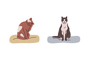 Cute cats on pet beds, cushions set, an Animal Illustration by Good Studio (Thumbnail 4 of 5)